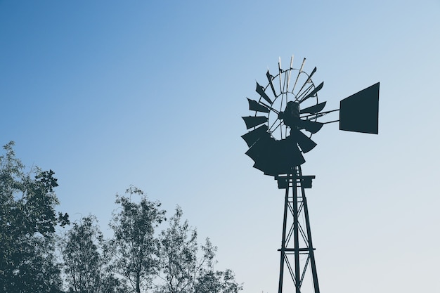 Prise de vue à faible angle de la silhouette d'un moulin à vent sur les arbres