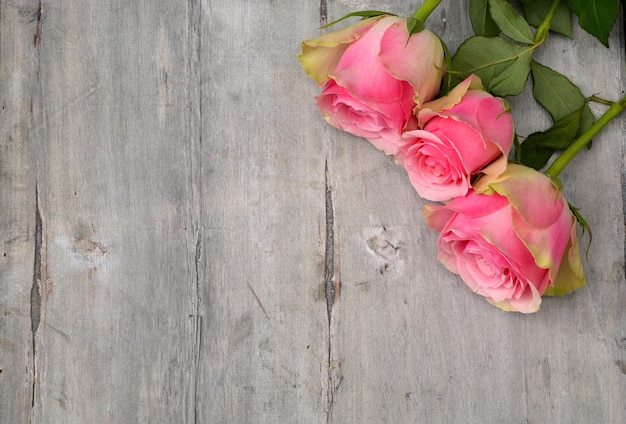 Prise de vue en grand angle des belles roses roses sur une surface en bois