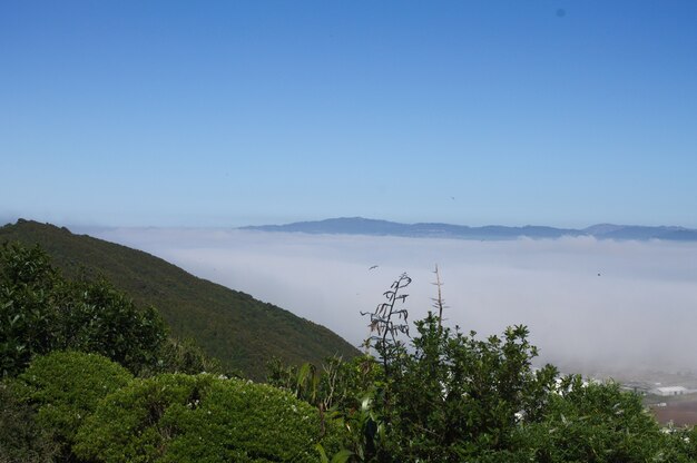 Prise de vue en grand angle de Hutt Valley en Nouvelle-Zélande couvert de brouillard