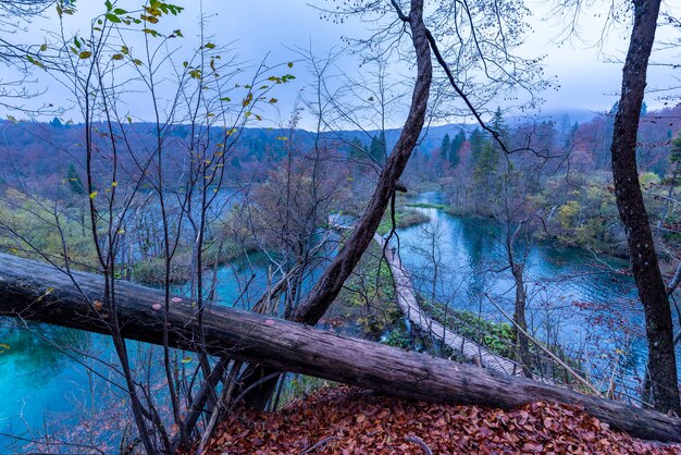 Prise de vue en grand angle d'un sentier en bois dans le parc national des lacs de Plitvice en Croatie