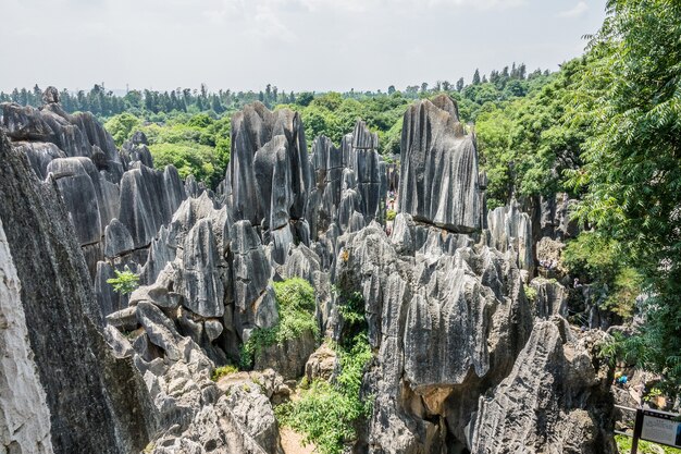 Prise de vue en grand angle de la zone panoramique de la forêt de pierre de Naigu dans le parc national de Kunming, Chine