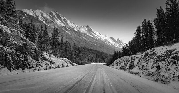 Prise de vue en niveaux de gris d'une route au milieu des montagnes enneigées