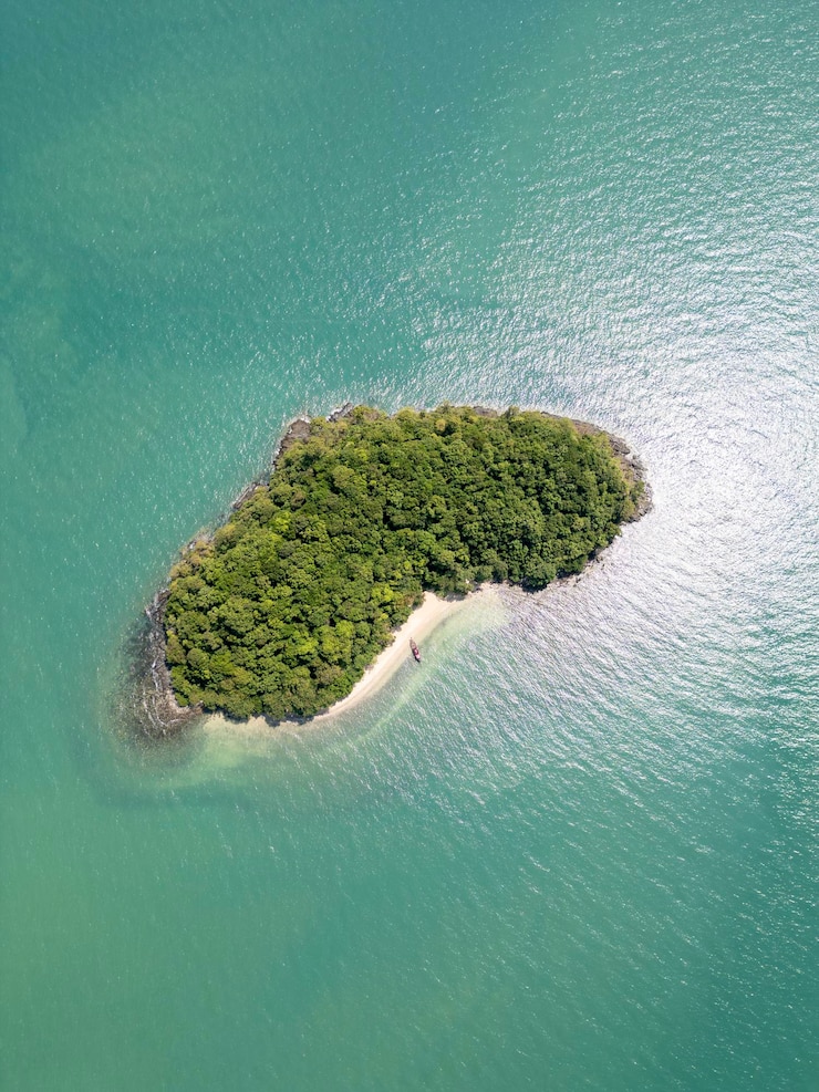 Photo gratuit une prise de vue par drone d'une jungle panoramique tropicale animée avec des palmiers sur le rivage