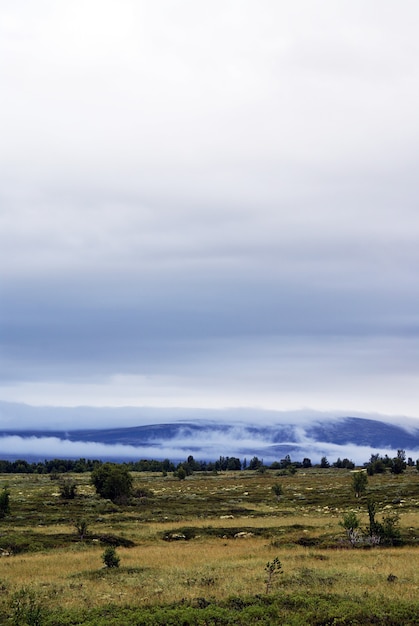 Photo gratuite prise de vue verticale d'un beau paysage entouré de hautes montagnes en norvège