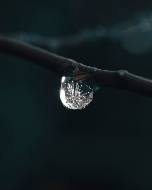 Prise de vue verticale d'une goutte d'eau gelée