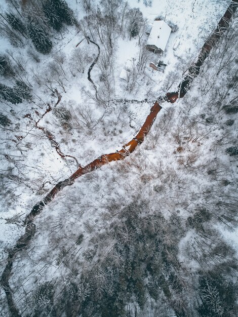 Prise de vue verticale à grand angle d'un paysage couvert de neige avec beaucoup d'arbres sans feuilles