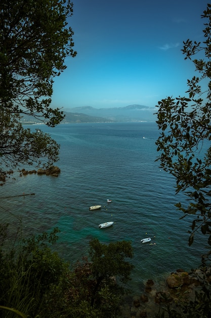 Prise de vue verticale à grand angle de voiliers dans la mer