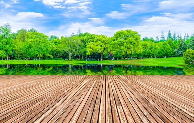 Photo gratuite produits naturels paysage forêt bois forme soleil