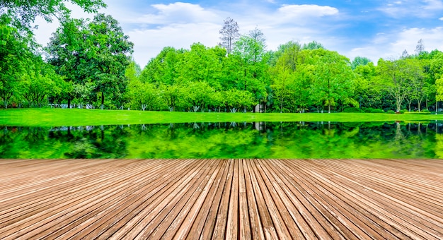 Les produits naturels de pelouse font partie des parcs ensoleillés