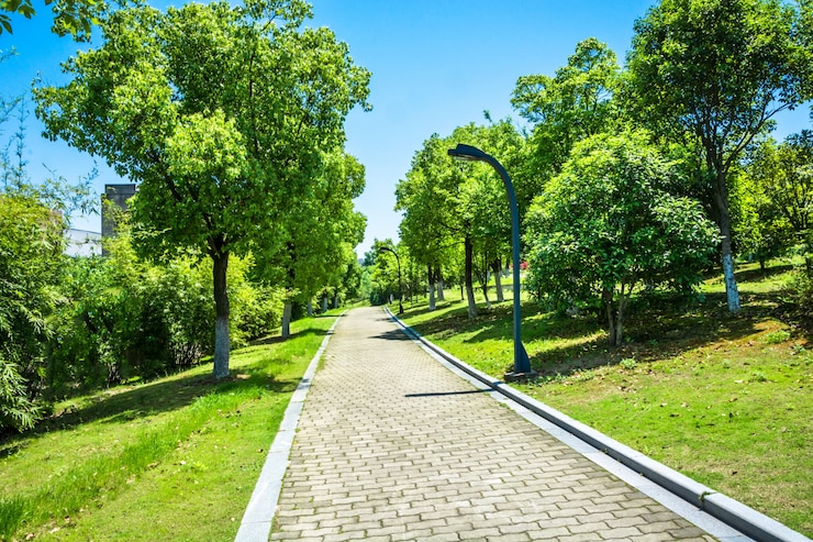 Photo gratuit promenade dans un magnifique parc de la ville