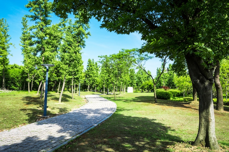 Photo gratuit promenade dans un magnifique parc de la ville