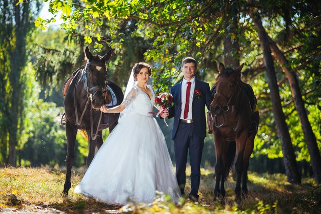 Promenade de mariage sur la nature avec des chevaux