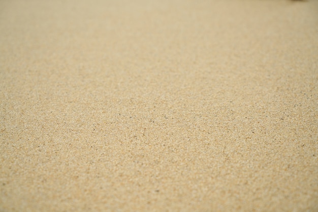 propre plage de sable extérieur plein cadre