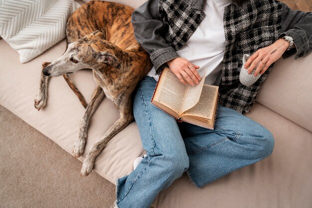 Propriétaire à angle élevé et chien sur canapé