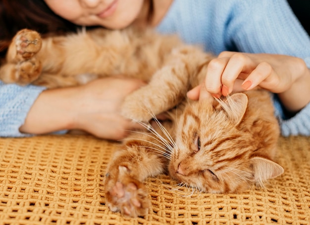 Propriétaire caresser un chat adorable