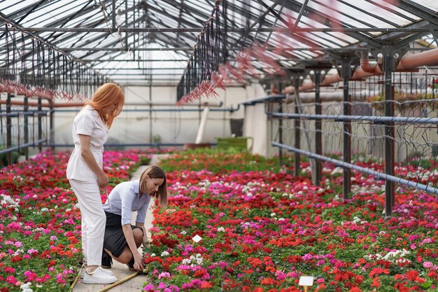 Le propriétaire de la serre présente des options de fleurs à un détaillant client potentiel.