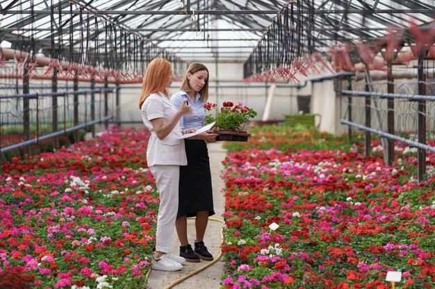 Le propriétaire de la serre présente des options de fleurs à un détaillant client potentiel.