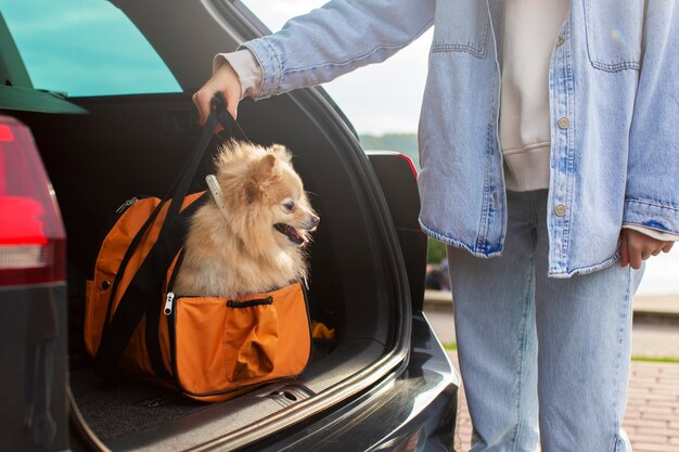 Propriétaire vue de face tenant un sac avec un chien