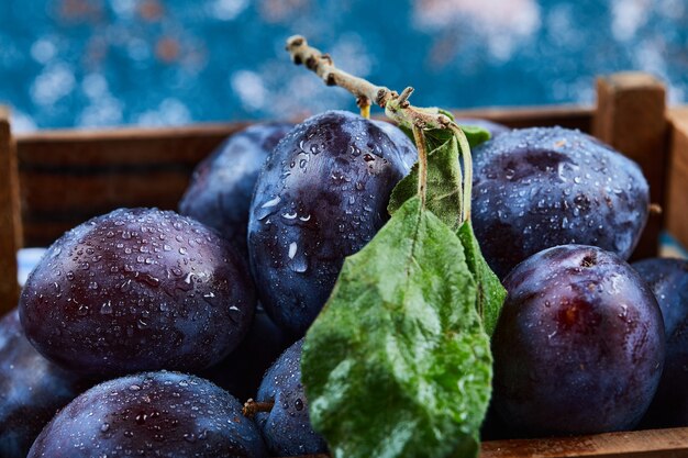 Prunes fraîches dans le panier en bois