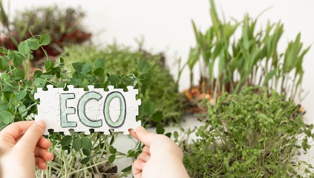 Puzzle avec l'inscription eco en mains sur le fond des microgreens