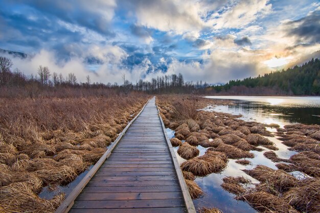 Quai en bois brun au milieu du foin