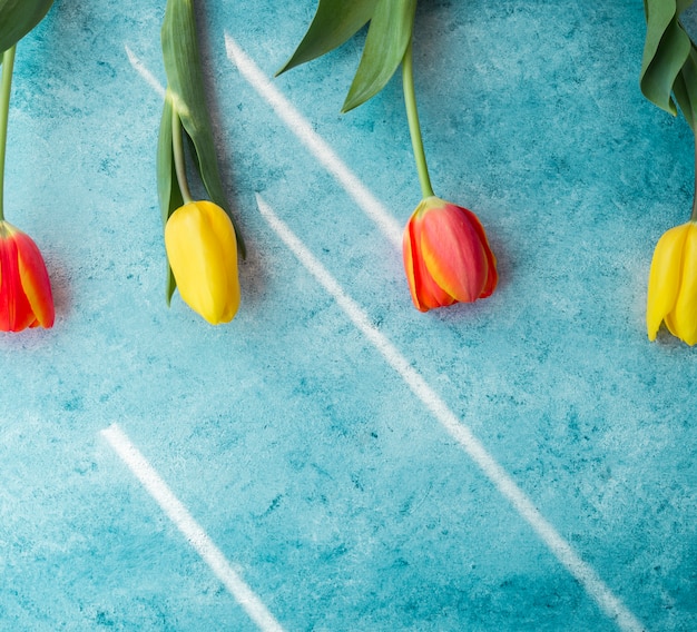 Photo gratuite quatre fleurs de tulipes sur table