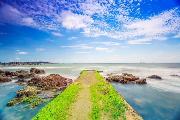 Équipement de l&#39;île en plein air panorama d&#39;une plage d&#39;algues