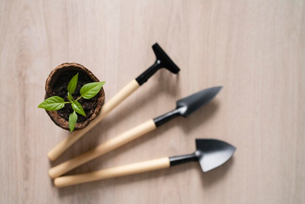 Équipement de jardinage vue de dessus