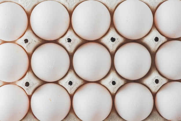 Rack avec des oeufs blancs