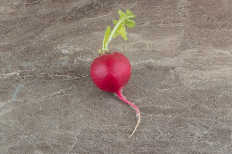 Photo gratuit radis rouge avec feuille sur surface en marbre