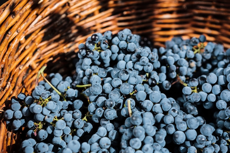 Photo gratuit raisins dans un panier en osier