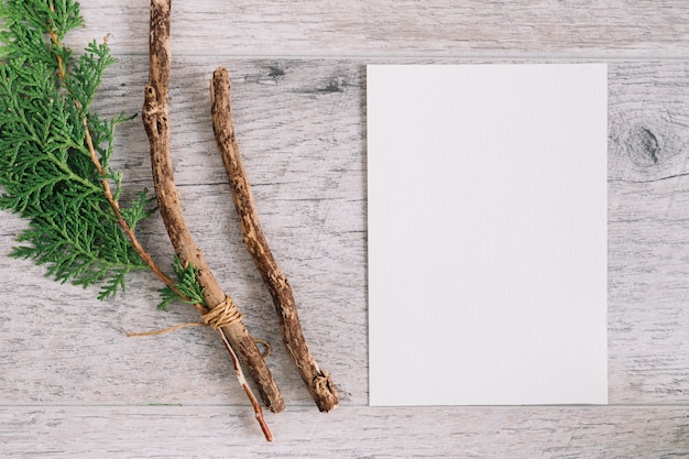 Photo gratuite rameau de cèdre et branche avec du papier blanc vierge sur fond en bois