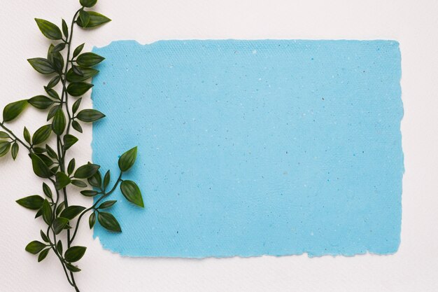 Un rameau vert artificiel près du papier déchiré bleu sur fond blanc