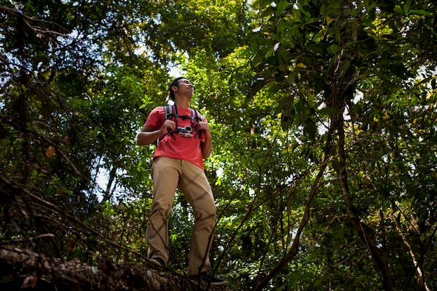 Randonneur debout dans une jungle sauvage