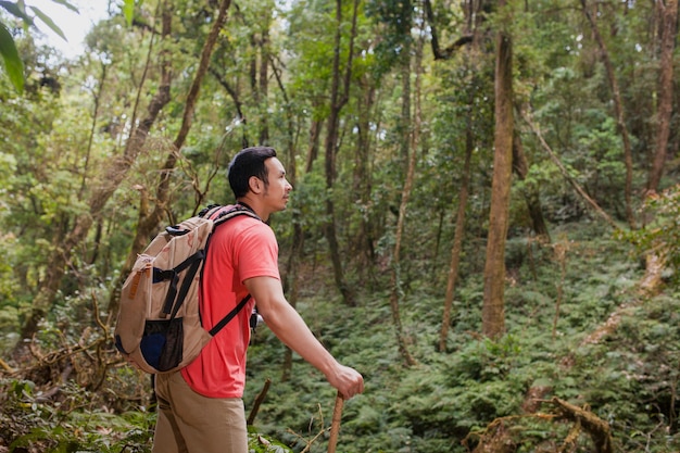 Photo gratuite randonneur en jungle