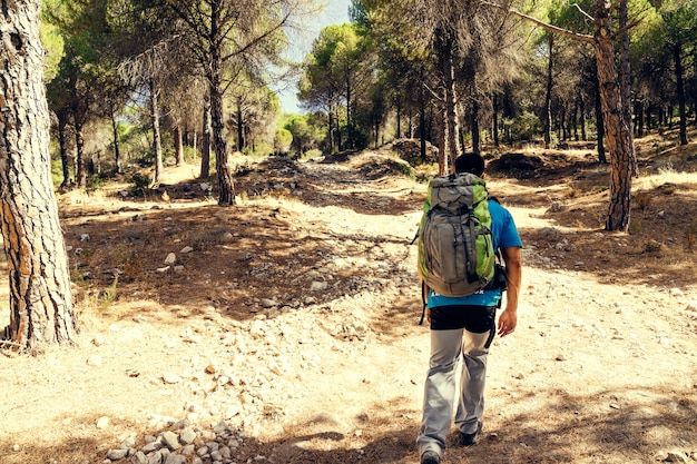 Randonneur promenant dans la forêt