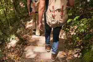 Photo gratuite les randonneurs sur le sentier en forêt