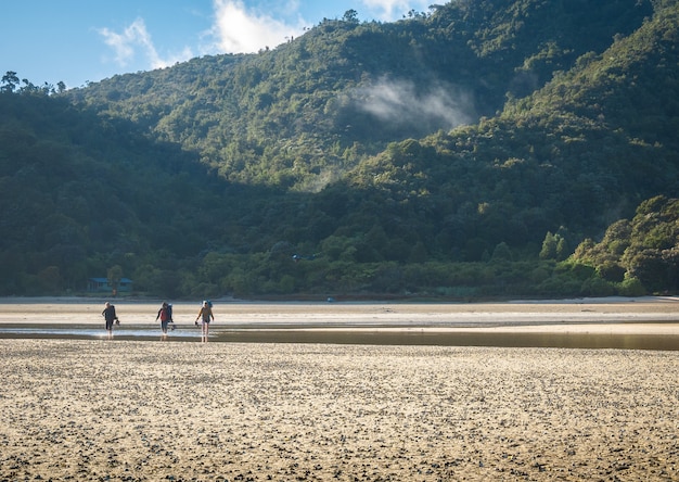 Randonneurs traversant l'inlet tropical tôt le matin tourné dans le parc national abel tasman en nouvelle-zélande