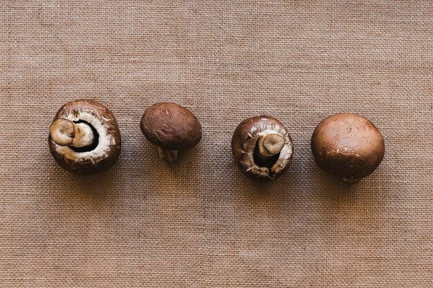 Rangée de champignons frais