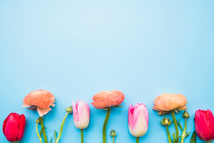 Photo gratuit rangée de fleurs diverses sur les tiges
