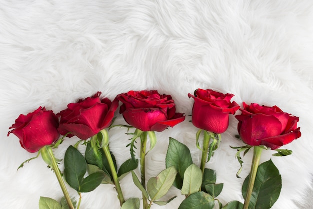 Photo gratuite rangée de fleurs fraîches sur une couverture en laine