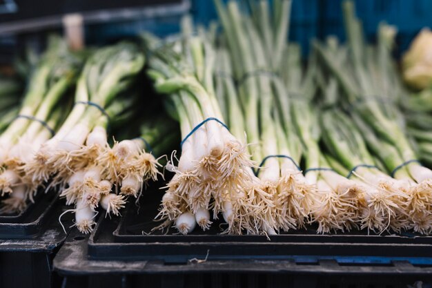 Rangée d&#39;oignons verts attachés avec du caoutchouc sur une caisse