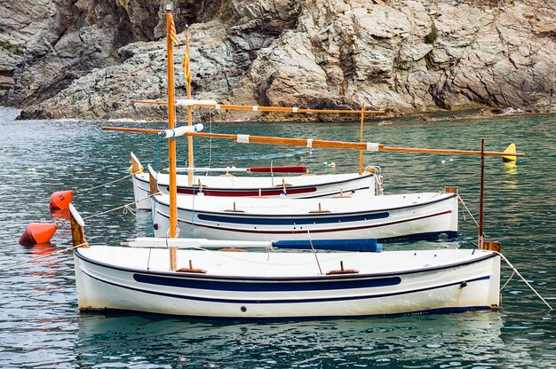 Rangée de voiliers blancs flottant sur l'eau près d'une falaise