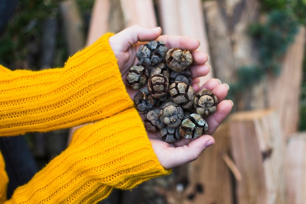 Photo gratuite recadrer les mains avec des cônes dans la nature