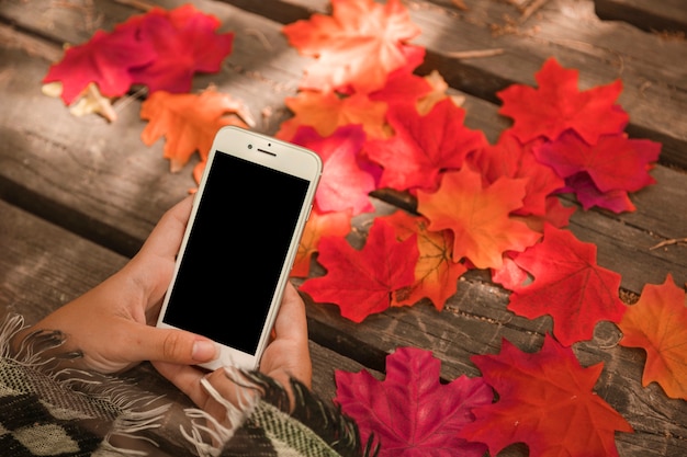 Recadrer les mains avec un smartphone moderne près des feuilles d&#39;automne