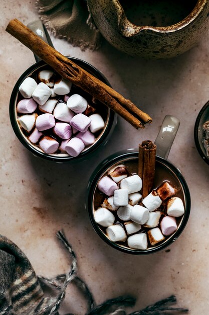 Réchauffer le chocolat chaud avec des guimauves en hiver