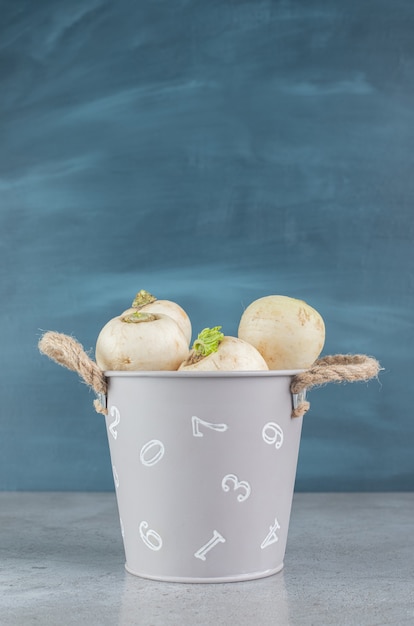 Récolte De Légumes Navets Blancs Frais. Photo De Haute Qualité