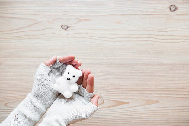 Récolte des mains dans les mitaines tenant l&#39;ours blanc