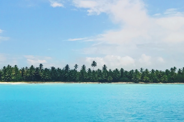 Regardez de loin en eau turquoise avant plage dorée avec des palmiers