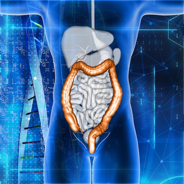 Photo gratuite rendu 3d d'une figure médicale masculine avec deux points mis en évidence